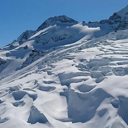 Amor Lodge דירה *