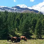 Amor Lodge Διαμέρισμα *