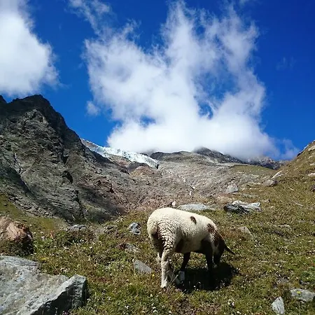 Lejlighed Amor Lodge Saas Fee